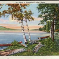 Moosehead Lake Postcard